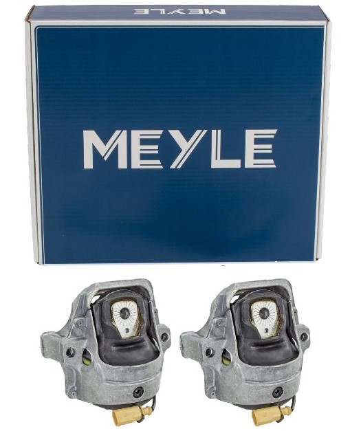 MEYLE MOTORLAGER VORNE LINKS Für AUDI A4 B8 A5 SPORTBACK Q5 1.8-2.0 TFSI